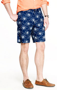 jcrew_indigo_leaf.jpg